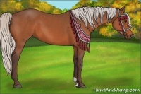 Horse Color:Silver Bay 