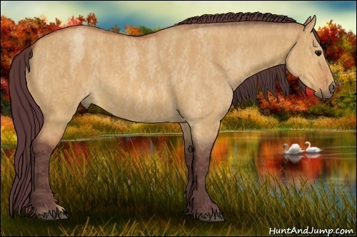 Horse Color:Chocolate Bay Roan Dun  Brindle