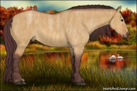 Horse Color:Chocolate Bay Roan Dun  Brindle