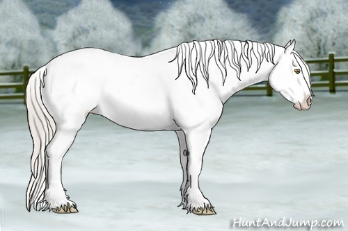 Horse Color:White Spotted Silver Brown Ice Appaloosa 