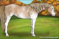 Horse Color:White Spotted Liver Chestnut Pearl 