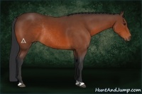 Horse Color:Bay Rabicano 