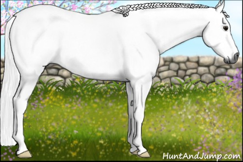 Horse Color:Gray Brown 