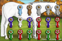 Horse Color:Gray Brown 