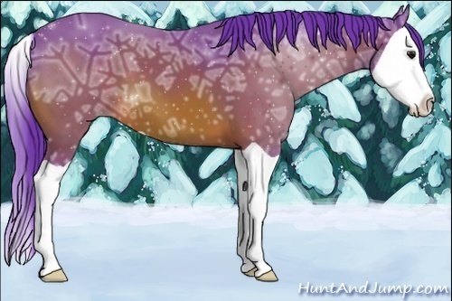 Horse Color:Watercolor Bay Ice Splash 