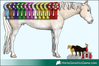Horse Color:White Spotted Silver Classic Champagne Dun 
