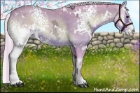 Horse Color:Watercolor White Spotted Silver Bay Ice Onyx 