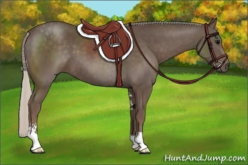 Horse Color:Silver Black Sabino