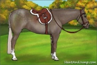 Horse Color:Silver Black Sabino 