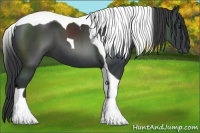 Horse Color:Black Tobiano