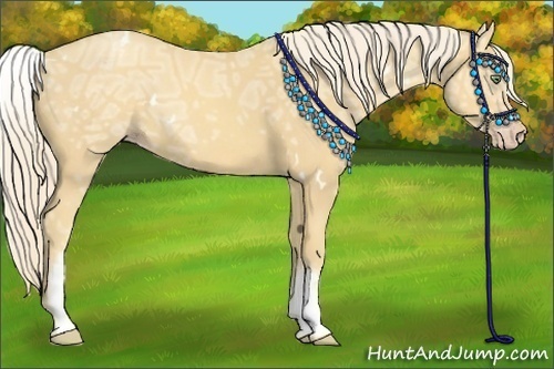 Horse Color:White Spotted Gold Cream Champagne Ice 