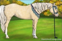 Horse Color:White Spotted Gold Cream Champagne Ice