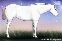 Horse Color:Red Roan Sabino Snowflake Varnish