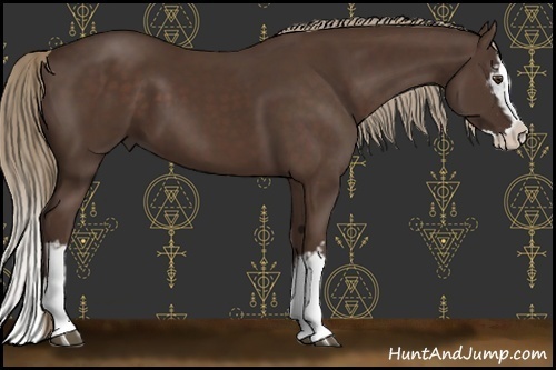 Horse Color:White Spotted Liver Chestnut Sabino Splash 