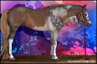 Horse Color:White Spotted Liver Red Roan 