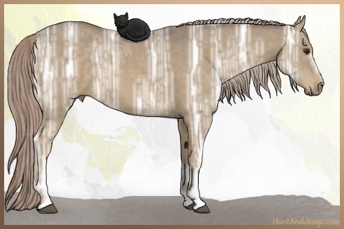 Horse Color:White Spotted Chocolate Palomino Ice 