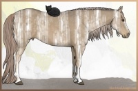 Horse Color:White Spotted Chocolate Palomino Ice