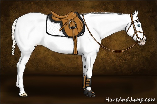Horse Color:Perlino Roan Dun Blanket 