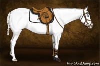 Horse Color:Perlino Roan Dun Appaloosa