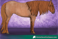 Horse Color:Red Roan 