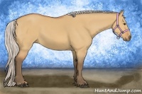 Horse Color:Silver Bay Dun Sabino