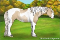 Horse Color:Silver Grullo Pearl Sabino Tobiano Rabicano 