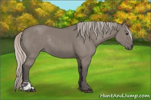 Horse Color:Silver Grullo Sabino Rabicano