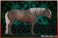 Horse Color:Silver Brown Sabino 