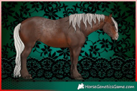 Horse Color:Silver Brown Sabino