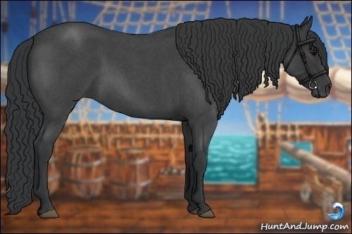 Horse Color:Blue Roan 