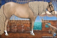 Horse Color:Liver Chestnut Pearl 