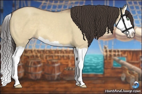 Horse Color:Sable Champagne Dun Splash 