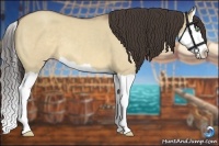 Horse Color:Sable Champagne Dun Splash 