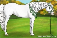 Horse Color:White Spotted Chocolate Palomino Ice Pearl Frame Appaloosa