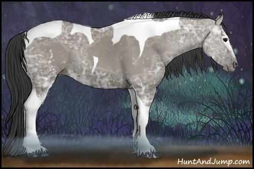 Horse Color:White Spotted Grullo Ice Tobiano Rabicano