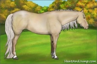 Horse Color:Silver Grullo Pearl Sabino