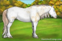 Horse Color:Classic Champagne Pearl Dun Sabino Splash 