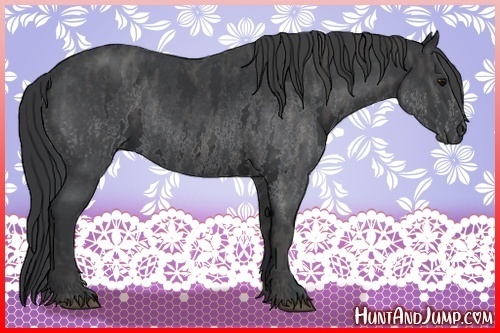 Horse Color:White Spotted Blue Roan Rabicano  Brindle