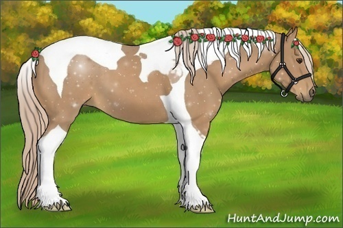 Horse Color:Palomino Tobiano 