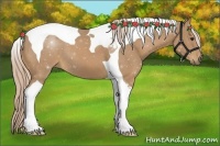 Horse Color:Palomino Tobiano