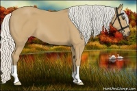 Horse Color:Silver Buckskin 