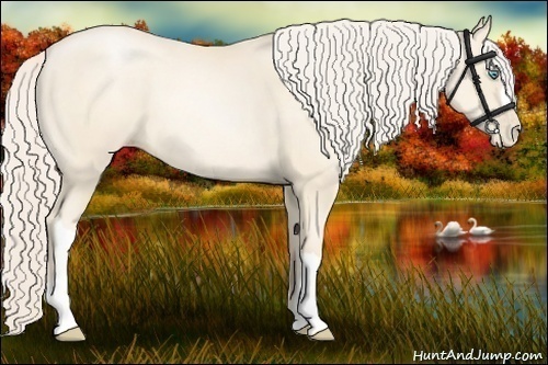 Horse Color:Gold Cream Champagne Pearl