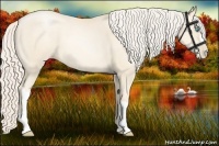 Horse Color:Gold Cream Champagne Pearl 