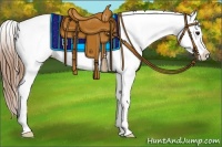 Horse Color:Buckskin Varnish