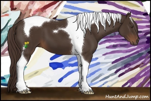 Horse Color:Liver Chestnut Tobiano 