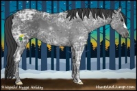 Horse Color:Smoky Black Ice 