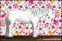 Horse Color:Bay Onyx Appaloosa