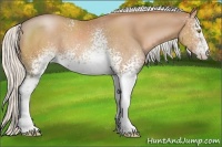 Horse Color:White Spotted Silver Brown Pearl 