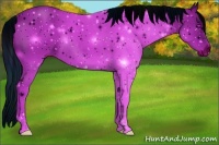 Horse Color:ERROR: UNKNOWN ANOMALY