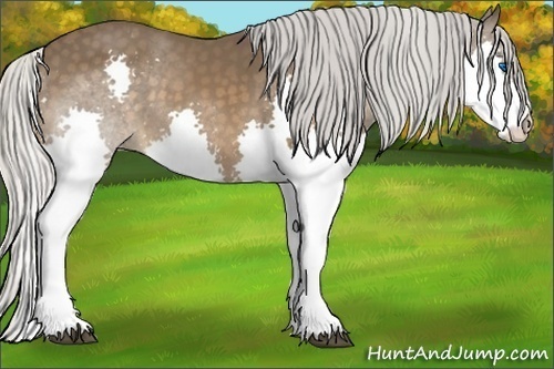 Horse Color:Silver Bay Splash 